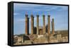 Jordan, Jerash, Temple of Artemis-Claudia Adams-Framed Stretched Canvas