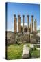 Jordan, Jerash. the Ruins of the Sacred Temple of Artemis in the Ancient Roman City of Jerash.-Nigel Pavitt-Stretched Canvas