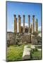 Jordan, Jerash. the Ruins of the Sacred Temple of Artemis in the Ancient Roman City of Jerash.-Nigel Pavitt-Mounted Photographic Print