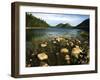 Jordan Pond and the Bubbles Mountain, Acadia National Park, Maine, USA-Adam Jones-Framed Premium Photographic Print