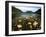 Jordan Pond and the Bubbles Mountain, Acadia National Park, Maine, USA-Adam Jones-Framed Premium Photographic Print