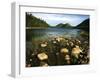 Jordan Pond and the Bubbles Mountain, Acadia National Park, Maine, USA-Adam Jones-Framed Premium Photographic Print