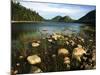 Jordan Pond and the Bubbles Mountain, Acadia National Park, Maine, USA-Adam Jones-Mounted Photographic Print