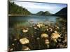 Jordan Pond and the Bubbles Mountain, Acadia National Park, Maine, USA-Adam Jones-Mounted Photographic Print