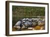 Jordan Pond in Evening Light in Autumn, Acadia National Park, Maine, USA-Michel Hersen-Framed Photographic Print