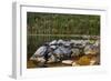 Jordan Pond in Evening Light in Autumn, Acadia National Park, Maine, USA-Michel Hersen-Framed Photographic Print