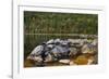 Jordan Pond in Evening Light in Autumn, Acadia National Park, Maine, USA-Michel Hersen-Framed Photographic Print