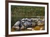 Jordan Pond in Evening Light in Autumn, Acadia National Park, Maine, USA-Michel Hersen-Framed Photographic Print