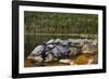 Jordan Pond in Evening Light in Autumn, Acadia National Park, Maine, USA-Michel Hersen-Framed Photographic Print