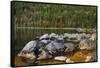 Jordan Pond in Evening Light in Autumn, Acadia National Park, Maine, USA-Michel Hersen-Framed Stretched Canvas