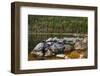 Jordan Pond in Evening Light in Autumn, Acadia National Park, Maine, USA-Michel Hersen-Framed Photographic Print