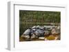 Jordan Pond in Evening Light in Autumn, Acadia National Park, Maine, USA-Michel Hersen-Framed Photographic Print