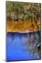 Jordan River Abstract Near Bethany, Israel-William Perry-Mounted Photographic Print