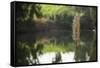 Jordan River-Richard T. Nowitz-Framed Stretched Canvas