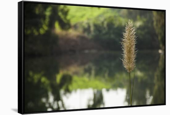 Jordan River-Richard T. Nowitz-Framed Stretched Canvas