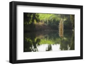 Jordan River-Richard T. Nowitz-Framed Photographic Print