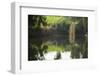 Jordan River-Richard T. Nowitz-Framed Photographic Print