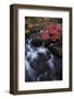 Jordan Stream in Autumn, Acadia National Park, Maine-Vincent James-Framed Photographic Print