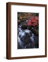 Jordan Stream in Autumn, Acadia National Park, Maine-Vincent James-Framed Photographic Print