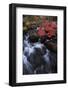 Jordan Stream in Autumn, Acadia National Park, Maine-Vincent James-Framed Photographic Print