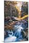 Jordan Stream in Autumn - Bar Harbor, Maine-Vincent James-Mounted Photographic Print