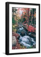 Jordan Stream in Autumn, Maine Coast, Acadia National Park-Vincent James-Framed Photographic Print
