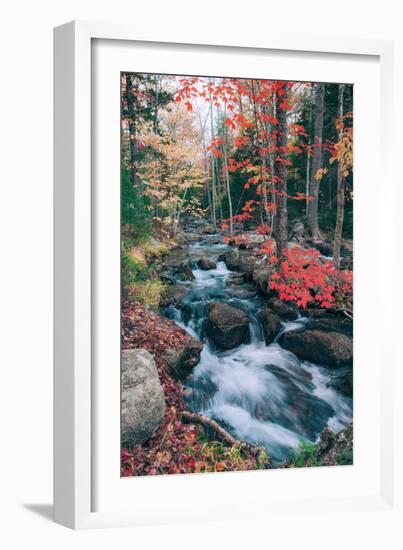 Jordan Stream in Autumn, Maine Coast, Acadia National Park-Vincent James-Framed Photographic Print
