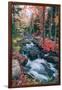 Jordan Stream in Autumn, Maine Coast, Acadia National Park-Vincent James-Framed Photographic Print