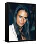 Jordana Brewster-null-Framed Stretched Canvas