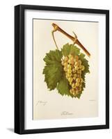Jordana Grape-J. Troncy-Framed Giclee Print