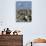 Jordanian Flag, The Citadel, Amman, Jordan-Cindy Miller Hopkins-Photographic Print displayed on a wall