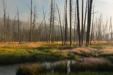 Photograph of the Valley of the Gibbon River as it Receives the First Rays of Sun-Jordi Elias Grassot-Photographic Print