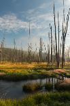 Photograph of the Valley of the Gibbon River as it Receives the First Rays of Sun-Jordi Elias Grassot-Photographic Print