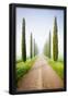 Essential Black