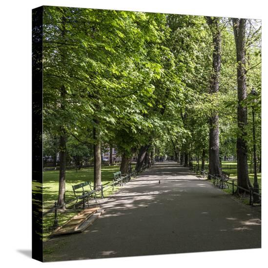 Stretched Canvas Print, , large