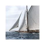 Sailing South-Jorge Llovet-Giclee Print