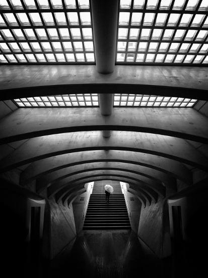 Premium Photographic Print, , large