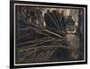 Jorinda as Owl-Arthur Rackham-Framed Premium Photographic Print