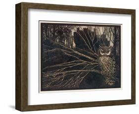 Jorinda as Owl-Arthur Rackham-Framed Photographic Print