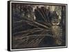 Jorinda as Owl-Arthur Rackham-Framed Stretched Canvas