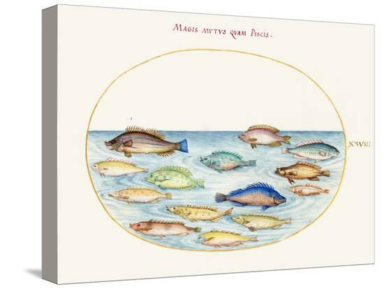 Stretched Canvas Print, , large