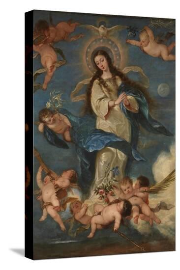 Stretched Canvas Print, , large