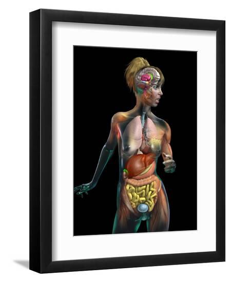 Premium Photographic Print, , large