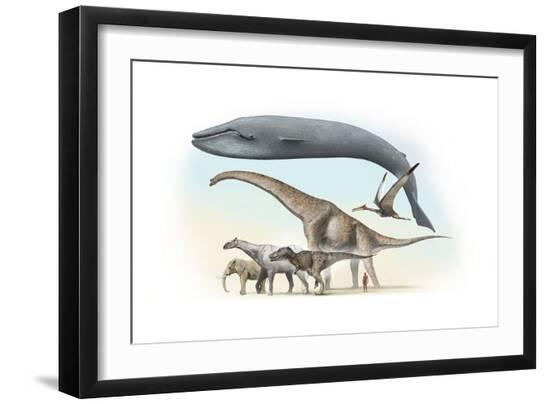 Premium Photographic Print, , large