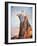 Jose Antonio Primo De Rivera-null-Framed Giclee Print