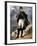 Jose De San Martin-null-Framed Giclee Print