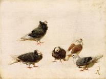 Pigeons, 1888-Jose Ruiz Blasco-Stretched Canvas