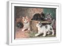 White Frame