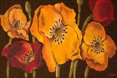 Dazzling Poppies II (Black)-Josefina-Art Print