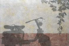 Bicycle Shadow-Josep Cisquella-Photographic Print